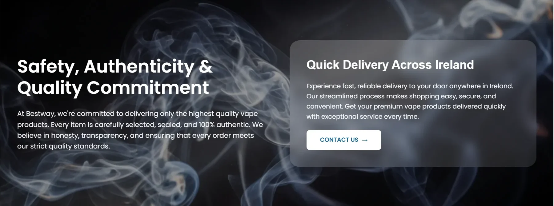 Homepage Screenshot 2