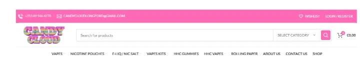 Domain overview - 2.8K organic traffic